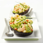 Avocat Crevette
